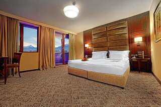 Отель Grand Hotel Bansko Банско Двухместный номер Делюкс с 1 кроватью-4